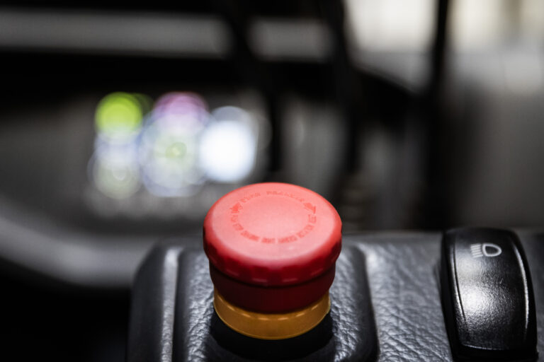 20250214_Bobcat_B18_lion_features_008